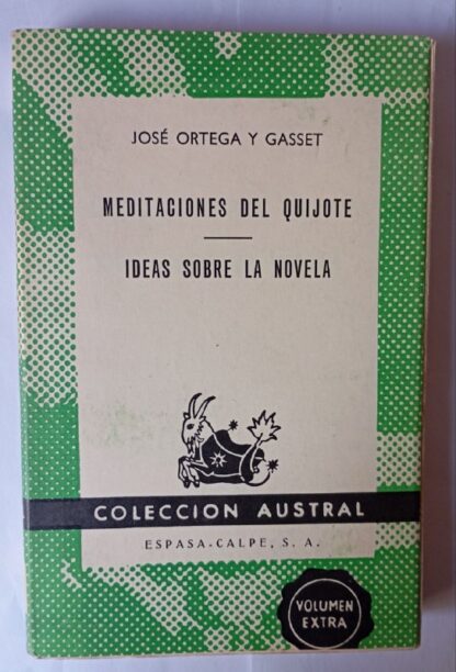 Meditaciones del Quijote. / Ideas sobre la novela.