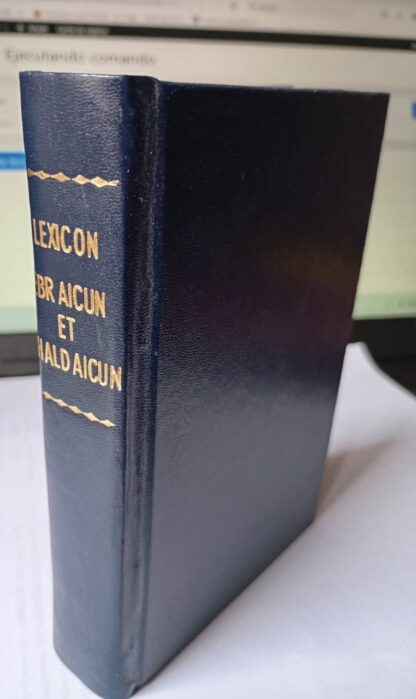 lexicon hebraicun et chaldaicum in libros. Veteris testamenti